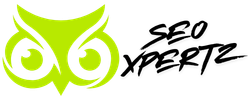 seoxpertz.com
